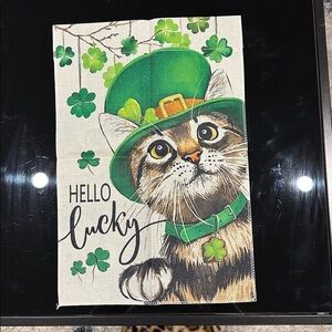 $8 OR PICK 5 FOR $25 sale 🎁🍀Double Sided HELLO lucky Garden Flag 18x12